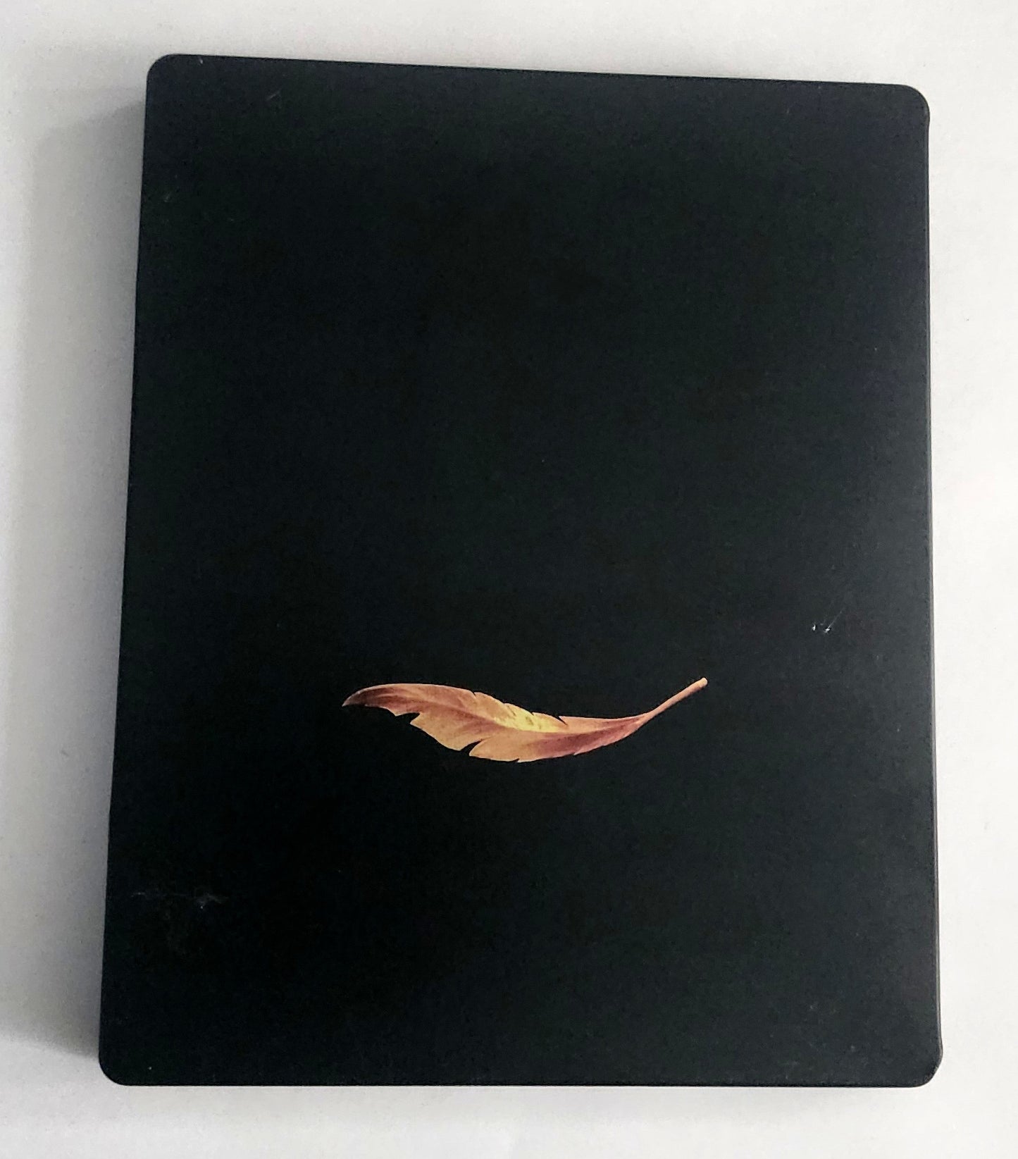 Ori and the Will of the Wisps XBOX Steelbook