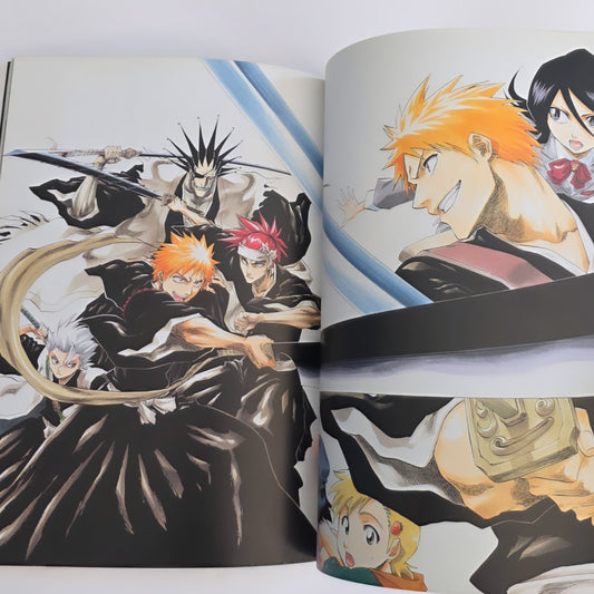 Bleach All Colour But the Black art book