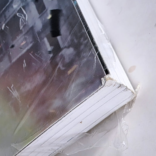 Metal Gear Rising Guía