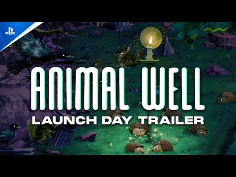 Animal Well (LRG) PS5