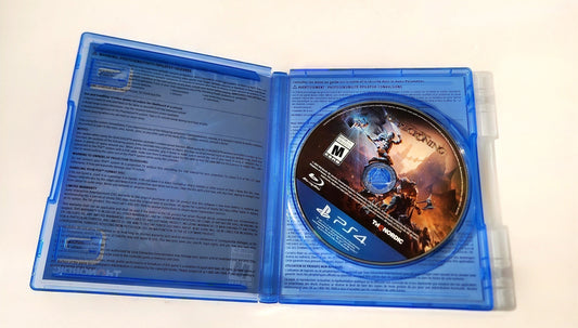 Kingdoms of Amalur: Re Reckoning PS4