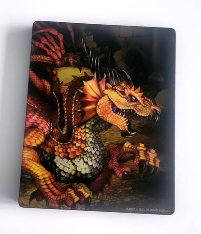 Dragon's Crown Pro Steelbook