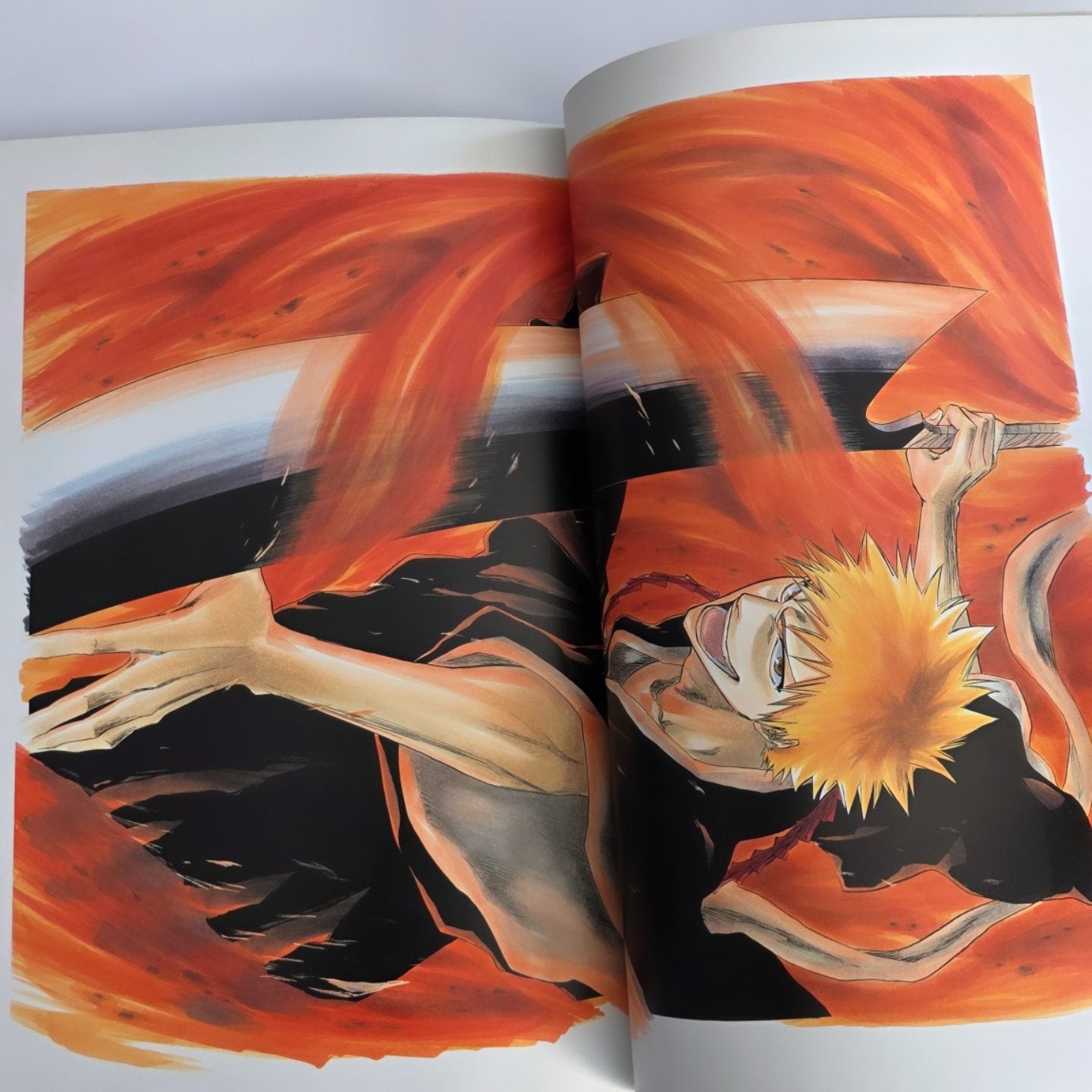 Bleach All Colour But the Black art book