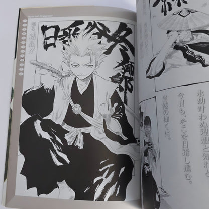 Bleach All Colour But the Black art book
