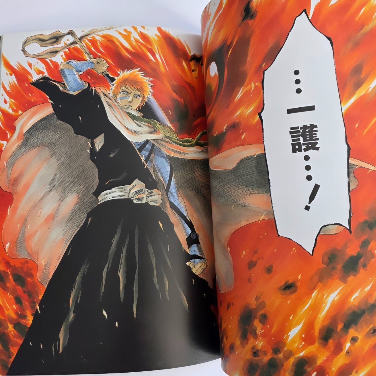 Bleach All Colour But the Black art book