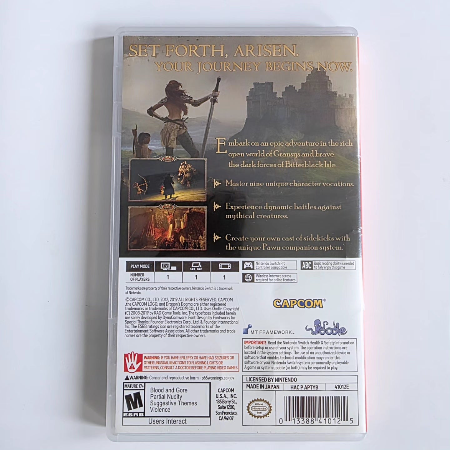 Dragon's Dogma Dark Arisen Switch