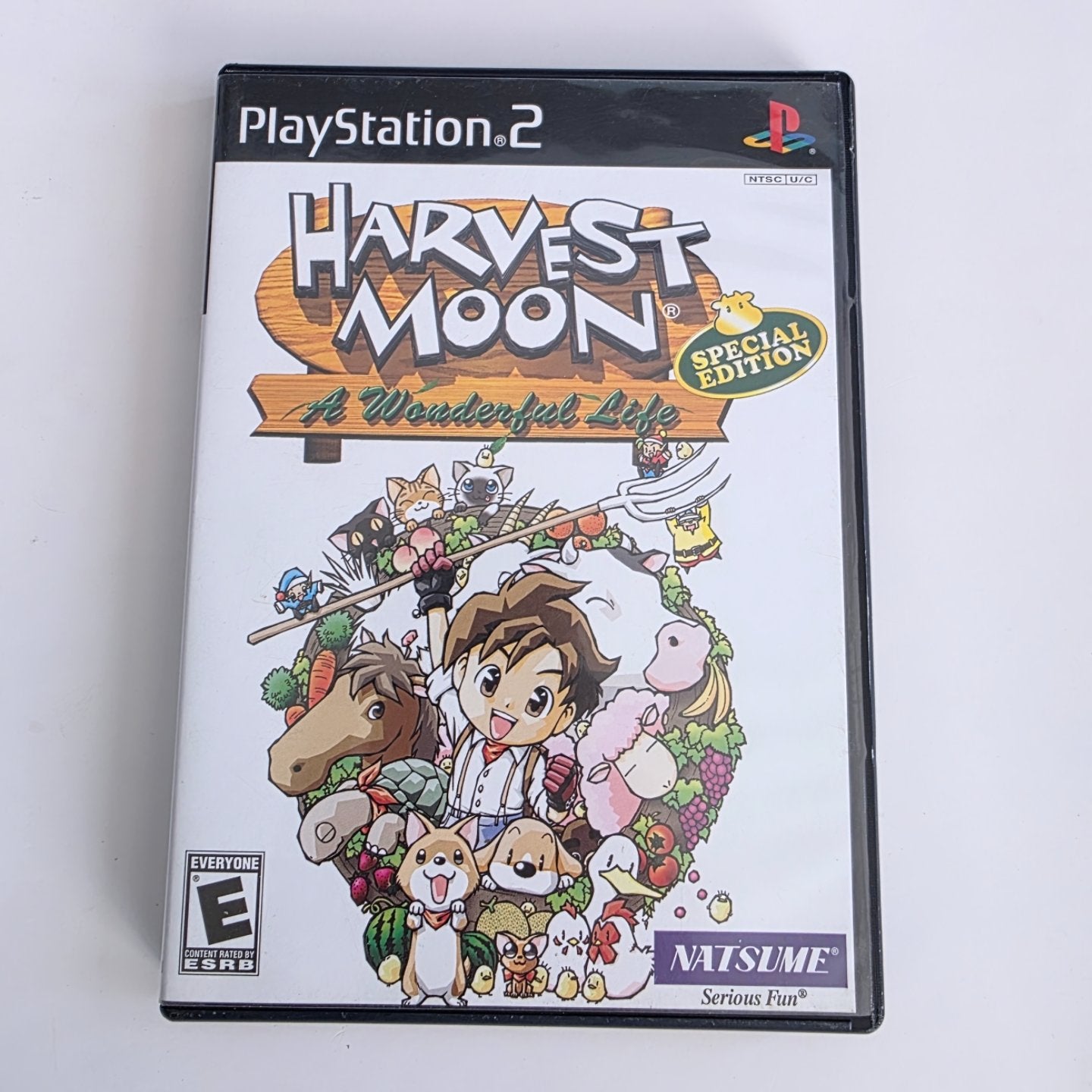 Harvest Moon A Wonderful Life PS2