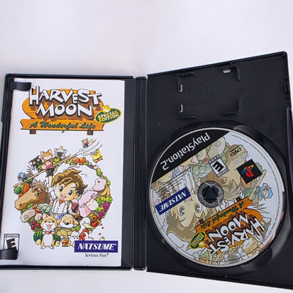 Harvest Moon A Wonderful Life PS2