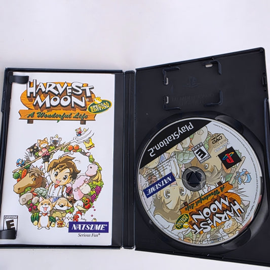 Harvest Moon A Wonderful Life PS2