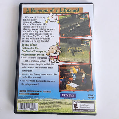 Harvest Moon A Wonderful Life PS2