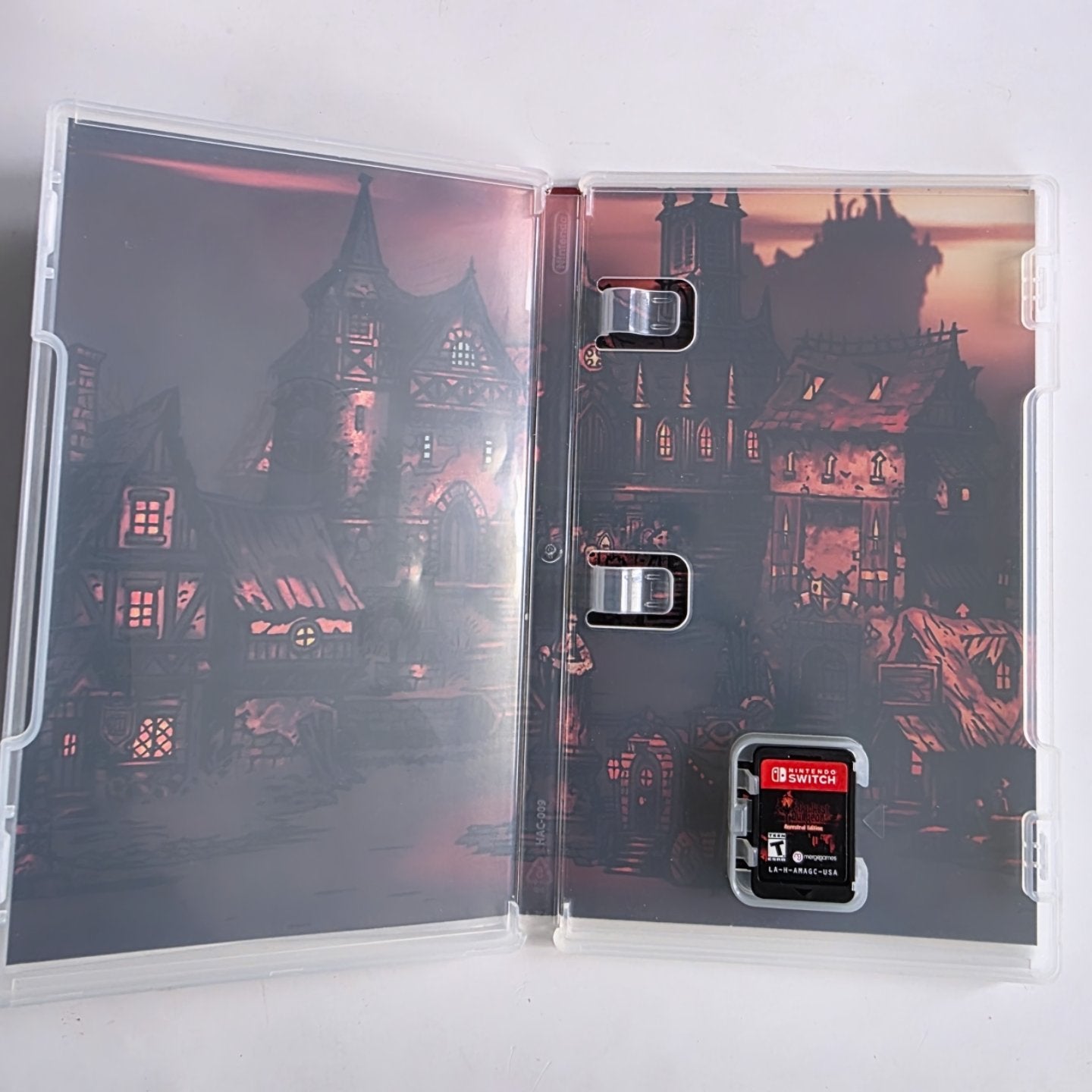 Darkest Dungeon Switch