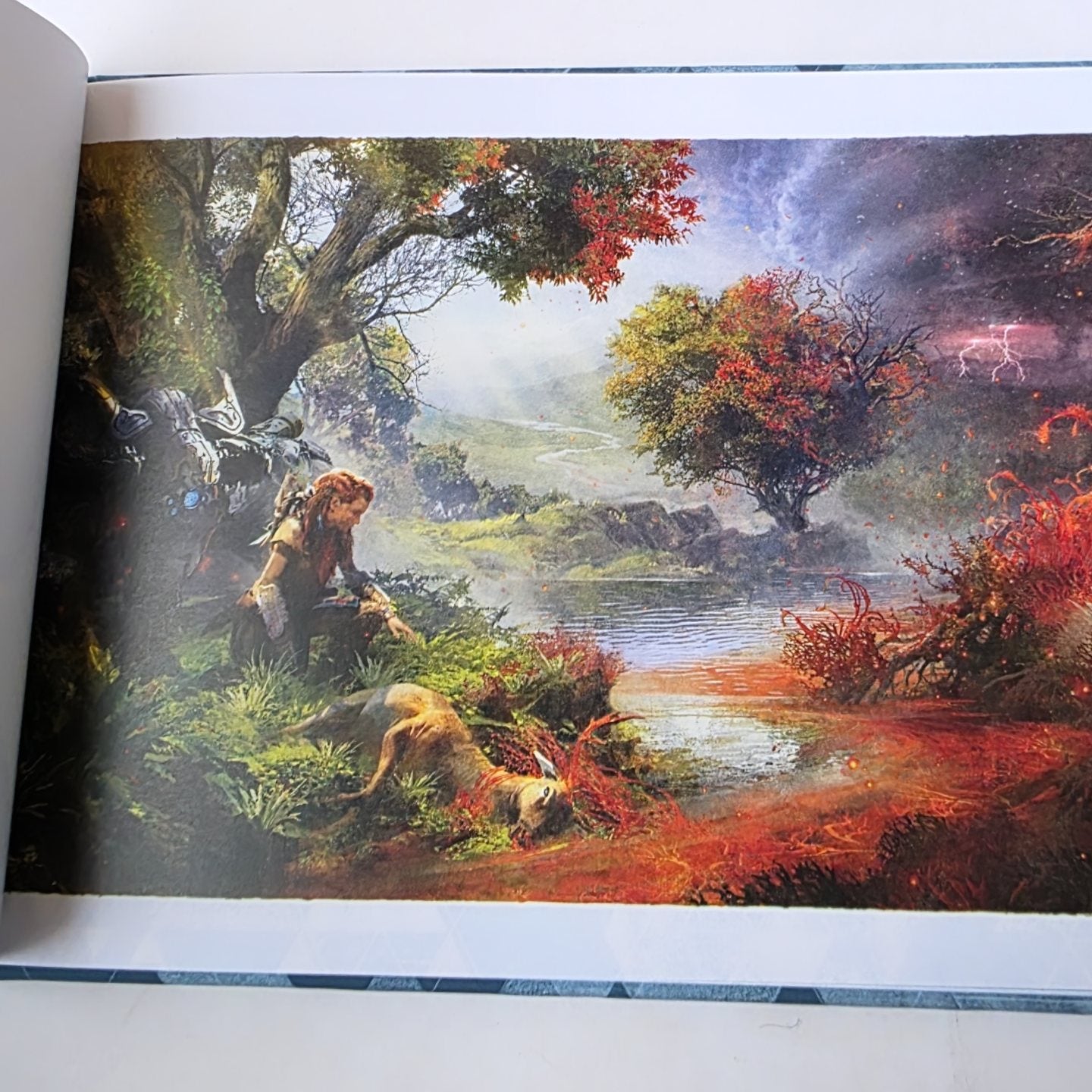 Horizon  Forbidden West Special Edition PS4