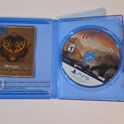 Wildermyth PS5